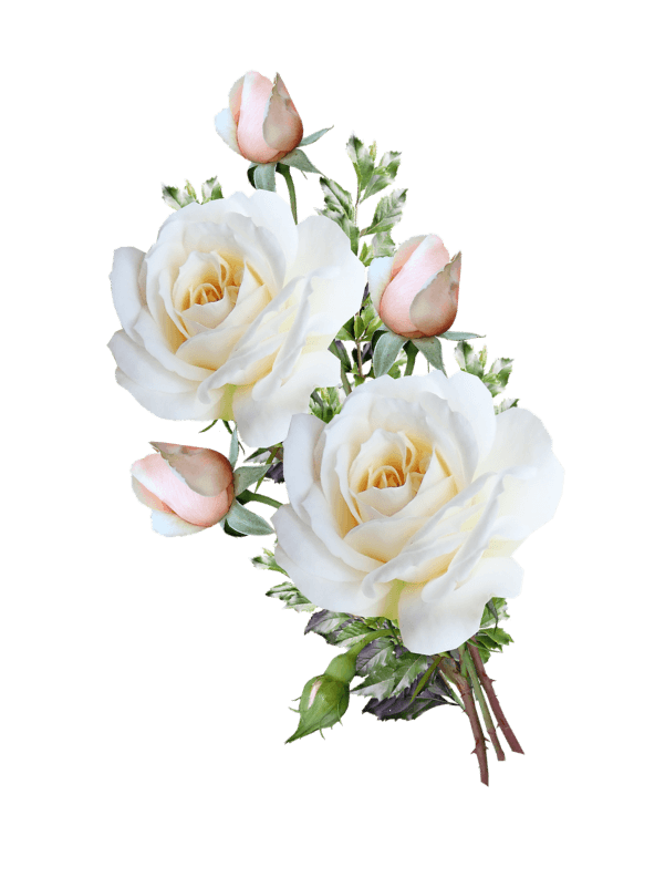 Wedding Decoration in Chennai Wedding Decorators in Chennai